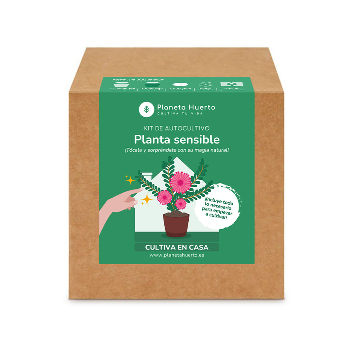 Kit de autocultivo Mimosa Sensitiva Planta Sensible Planeta Huerto