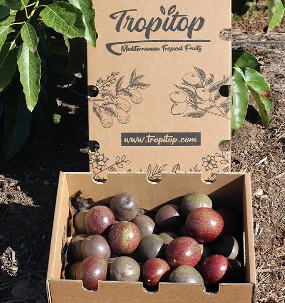 Fruta De La Pasión O Maracuyá - Caja De 9kg_1