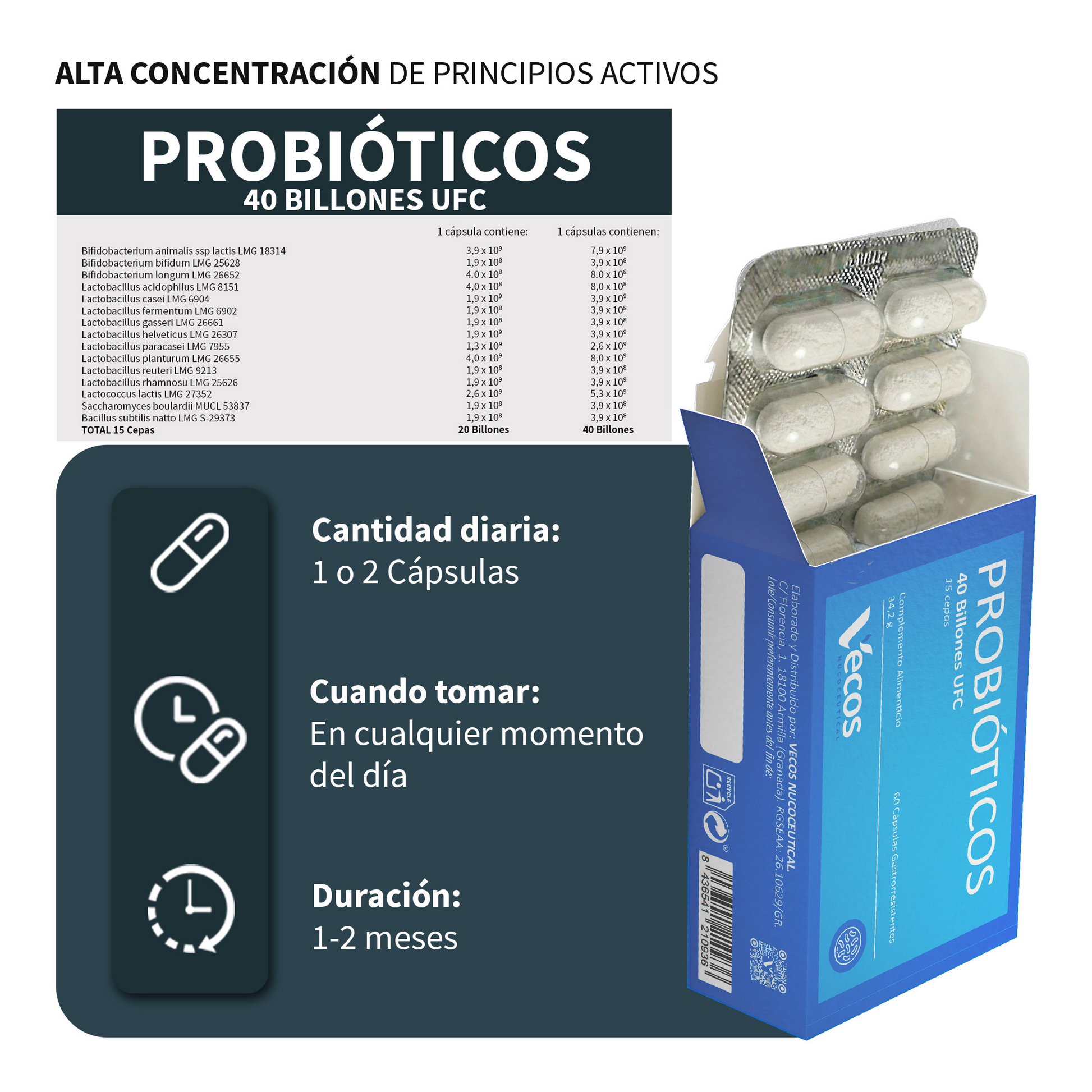 Probióticos Liofilizados VECOS (60 cápsulas) Flora intestinal y confort digestivo | 15 cepas | Cápsula gastrorresistente_2