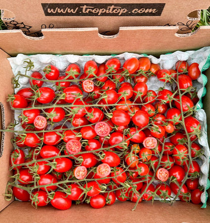 Caja De Tomates Cherry En Rama Tropitop Caja De 2kg_1