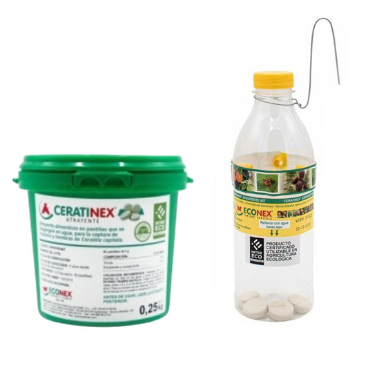 Kit atrativo para moscas de fruta e azeitonas Ceratinex - Pacote económico