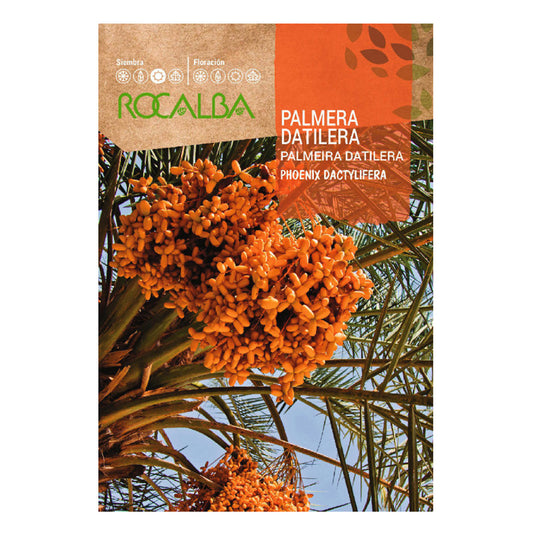 Sementes de tamareira, Rocalba