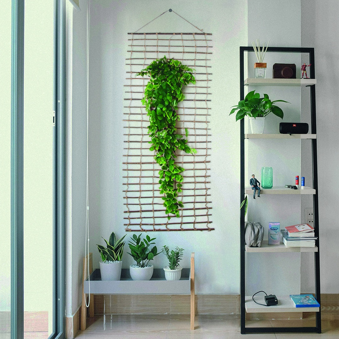Soporte De Pared Para Plantas Climbawick 1x2 M Nortene_3