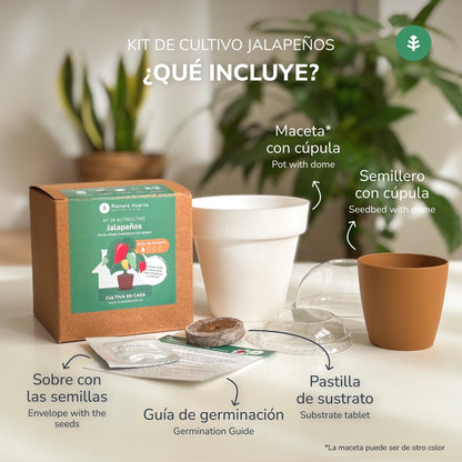 Kit de autocultivo Jalapeño Planeta Huerto