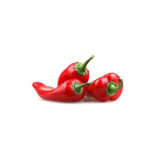 Plântulas de Pimento Piquillo, 6 Unidades, Linha Tradicional