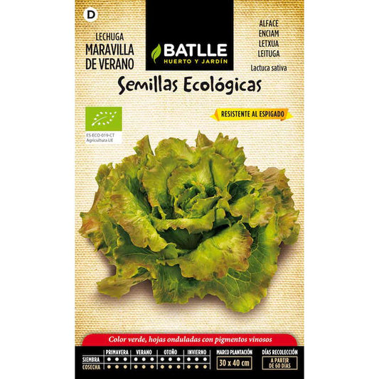 Semillas ecológicas de Lechuga maravilla de verano