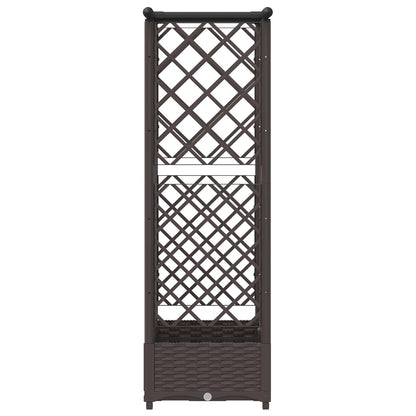 Cama Elevada Con Trellis Y Techo Marrón 124 X 40 X 121 Cm Pp_3