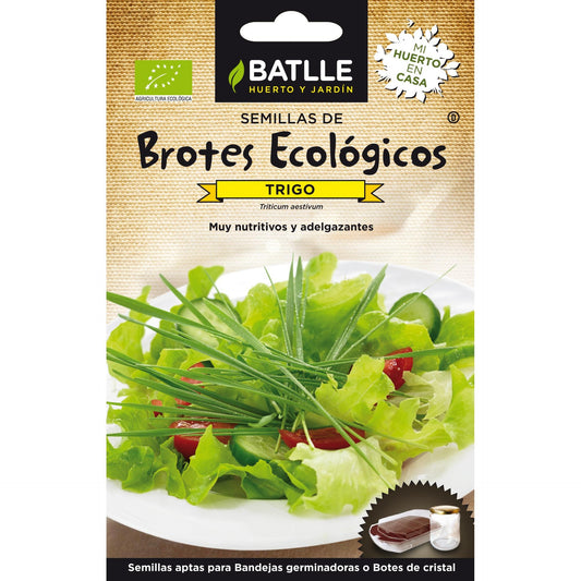 Sementes de Rebento Orgânico de Trigo Batlle