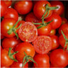 Sementes De Tomate Cherry Mel Do México Orgânicas