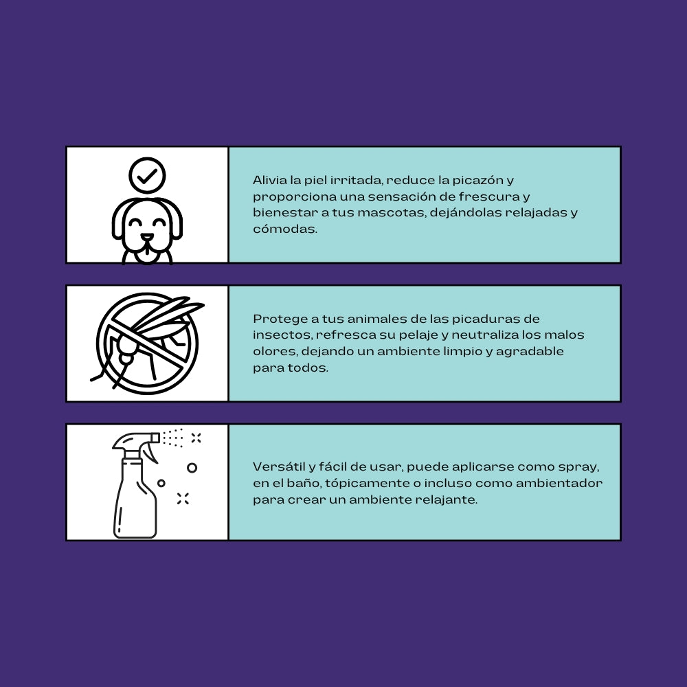 Hidrolato de Lavanda – Agua Aromática Natural para Limpieza, Relajación y Protección de Tus Mascotas - 250 ml_1