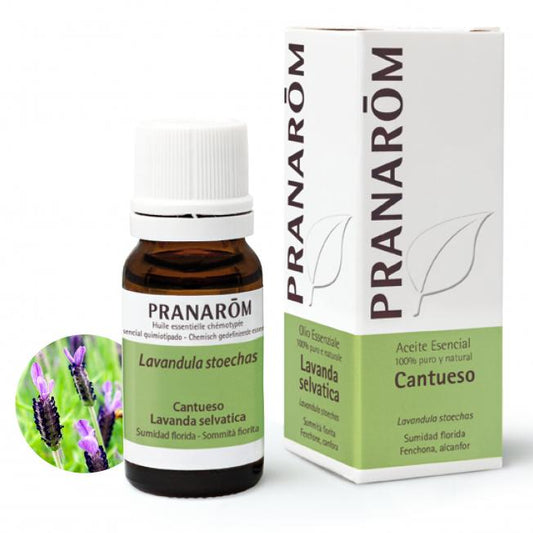 Óleo essencial de lavanda Sumidad Florida Pranarom 10 ml