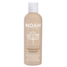 Condicionador Hidratante Noah Ivy Leaves 250 ml