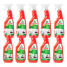Embalagem de 10 Produtos de Limpeza de Indução e Vitrocerâmicos Frosch Eco Orange 750 ml