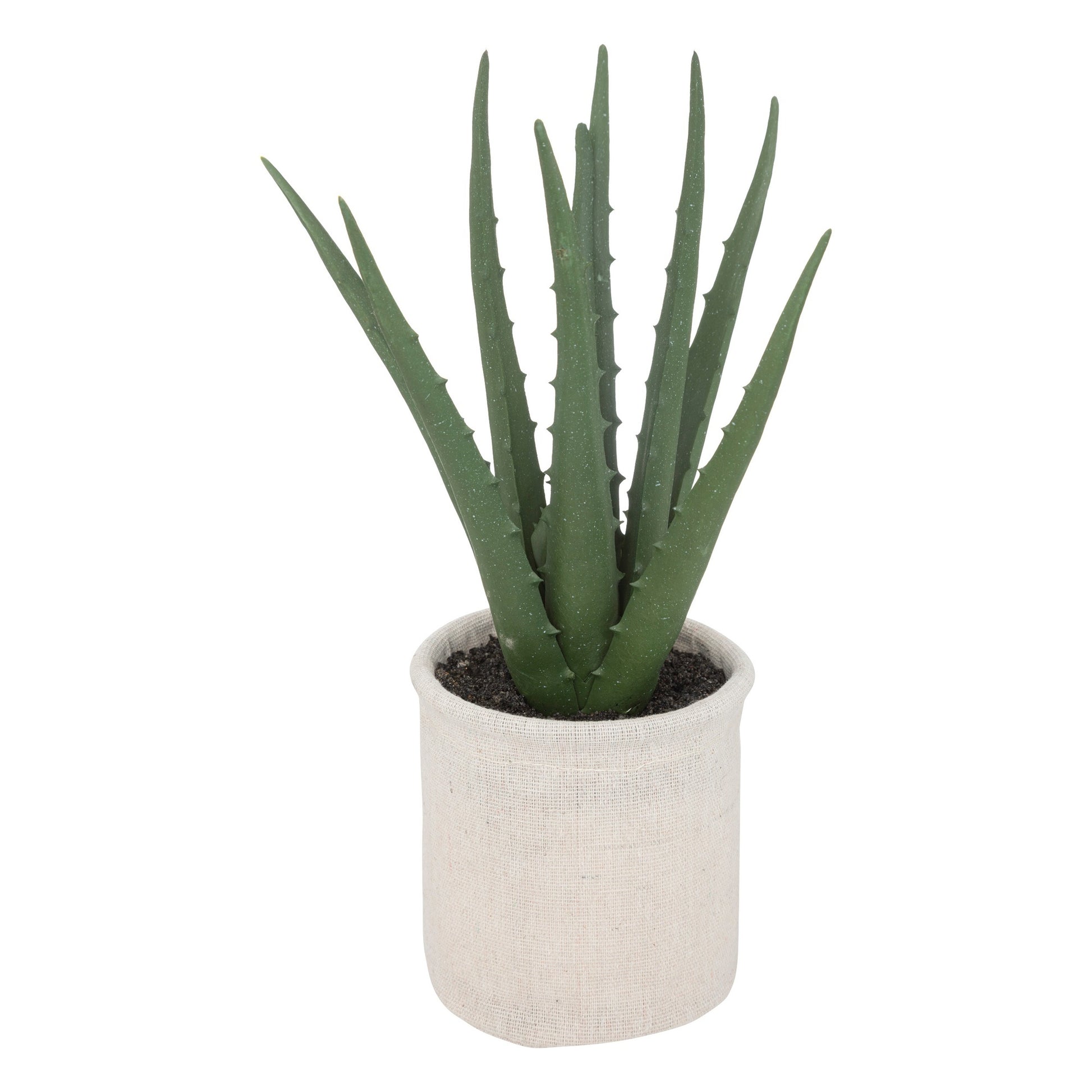 Planta De Aloe En Maceta Natural H29cm_0