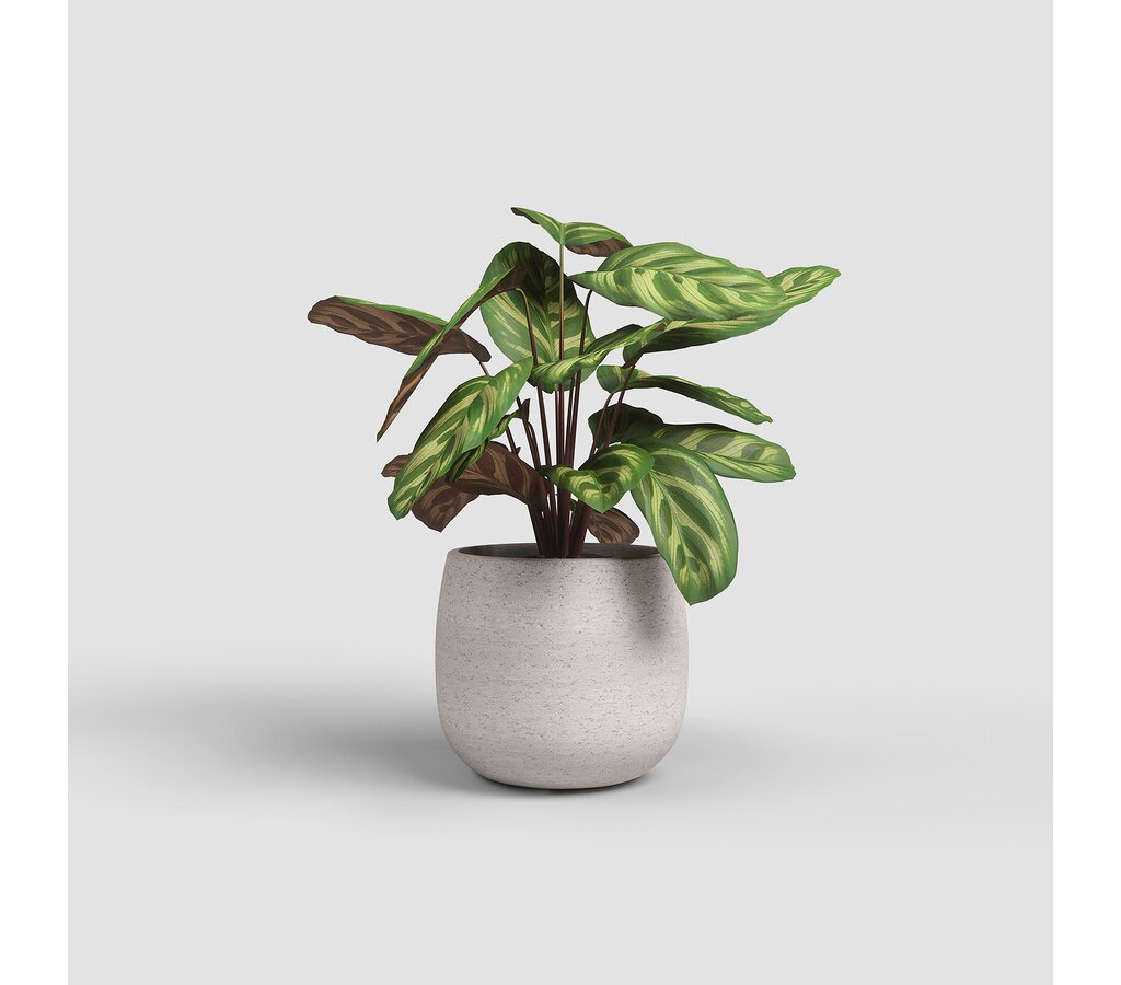 Artevasi Macetero Hemera Crema De Plástico Reciclado 20cm_1