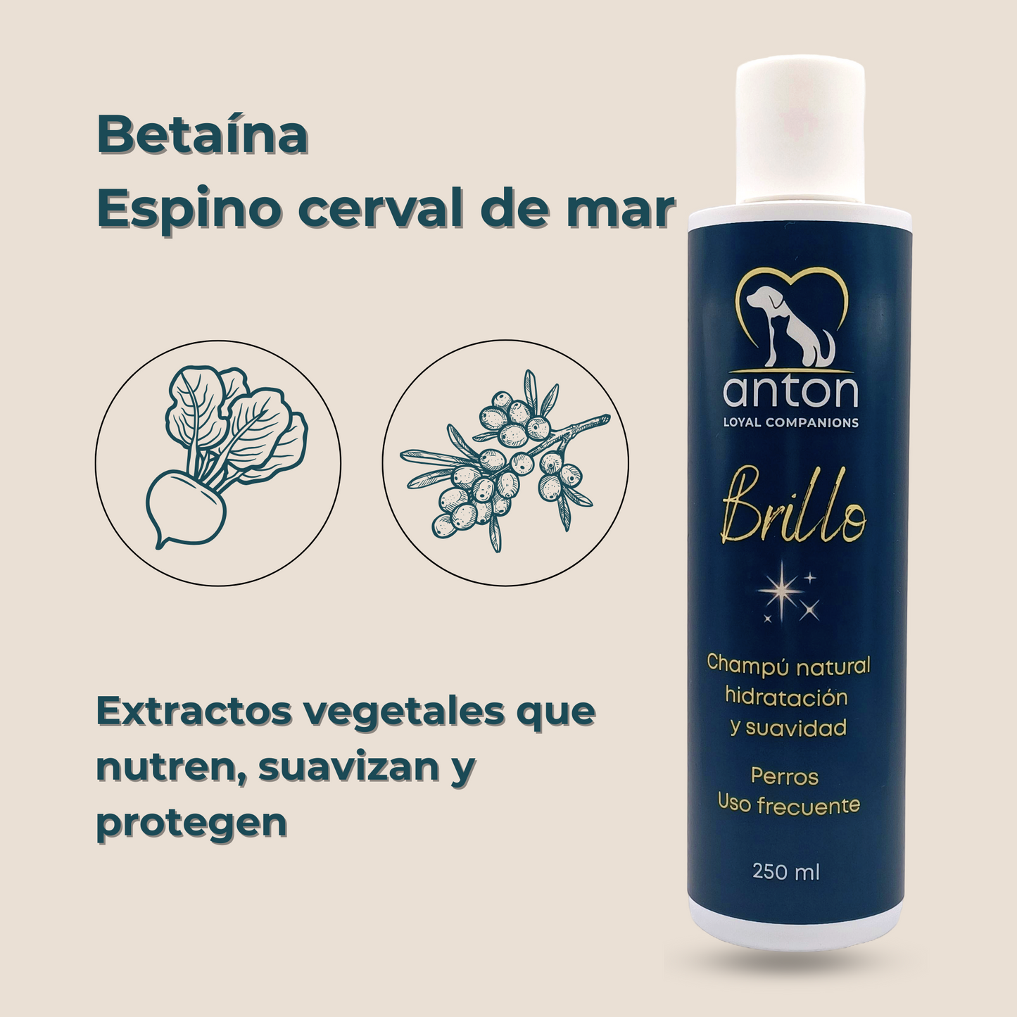 Champú natural para el cuidado del pelaje de perros – Pack 3 x 250 ml_3