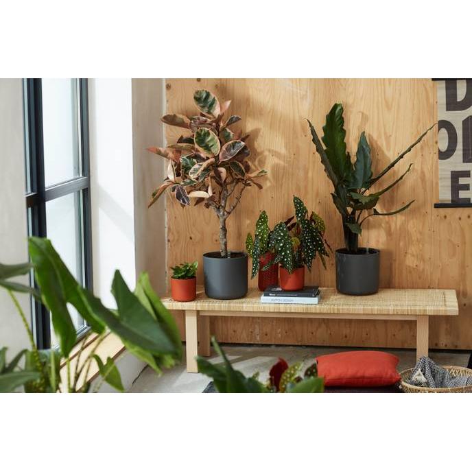 Vaso B.for Soft Round Elho Antracite