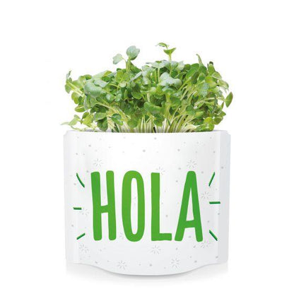 Postal de autocultivo Olá rebentos de mostarda