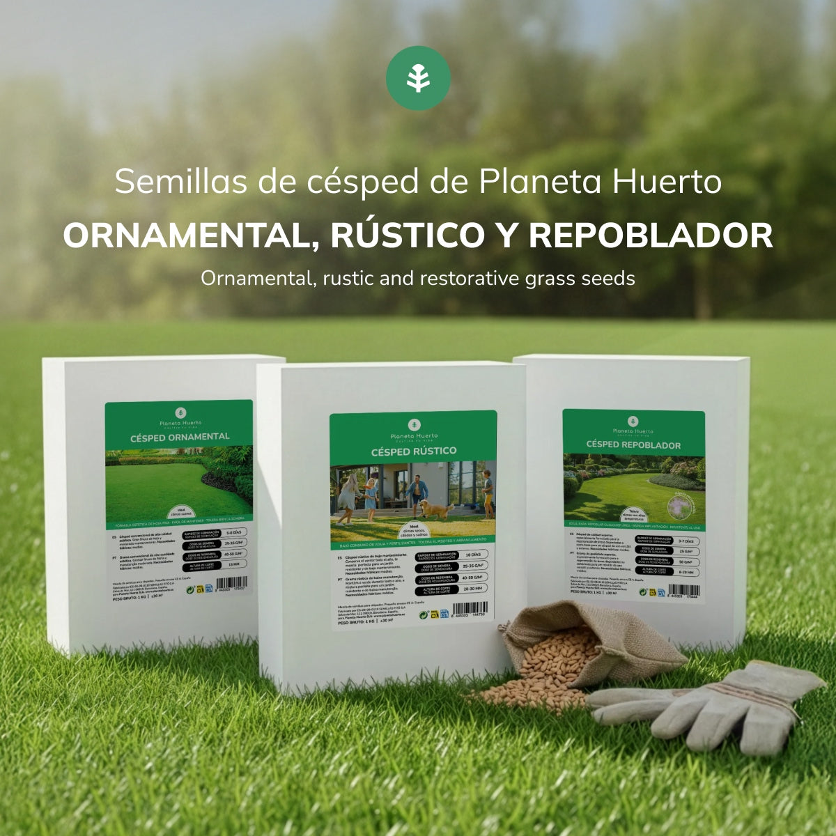 Sementes de Relva Repovoadora Planeta Huerto 1 kg