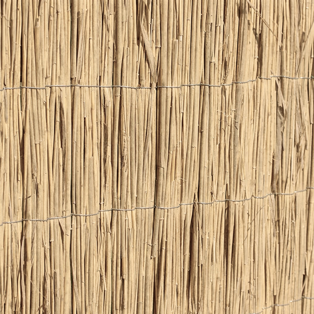 Bambú Pelado Multi Varilla Reed Multi 1,5x5 M Nortene_2