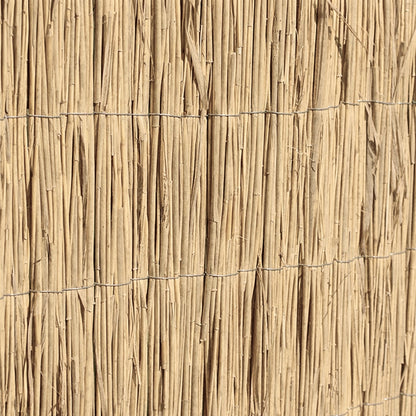 Bambú Pelado Multi Varilla Reed Multi 1,5x5 M Nortene_2