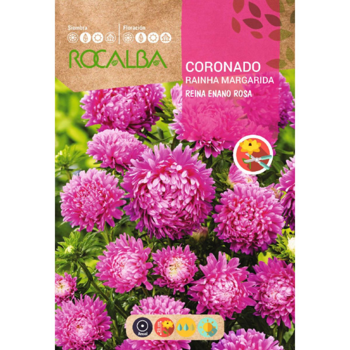Sementes de Rainha Anã Coroada, Rosa