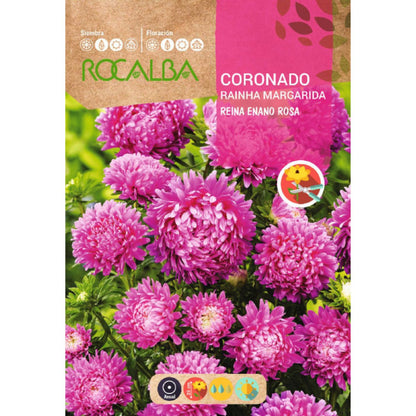 Sementes de Rainha Anã Coroada, Rosa