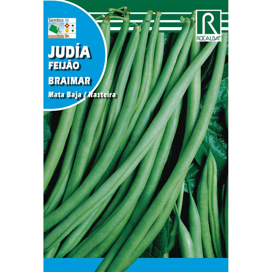 Sementes de feijão Braimar