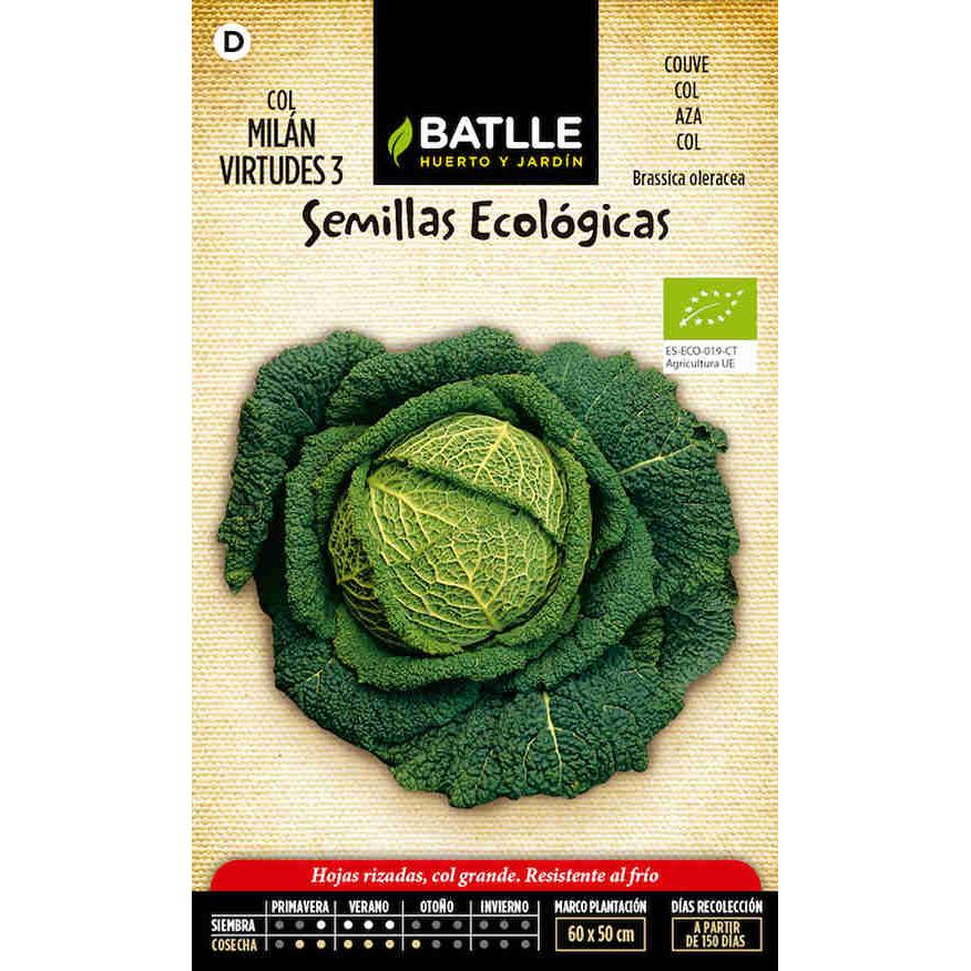 Sementes de couve milanesa biológica Batlle com 3 virtudes