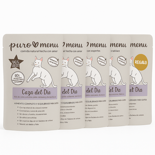 Pacote de poupança 5X4: Comida húmida para gatos Caça ao dia da Barf (Coelho) 5x100g