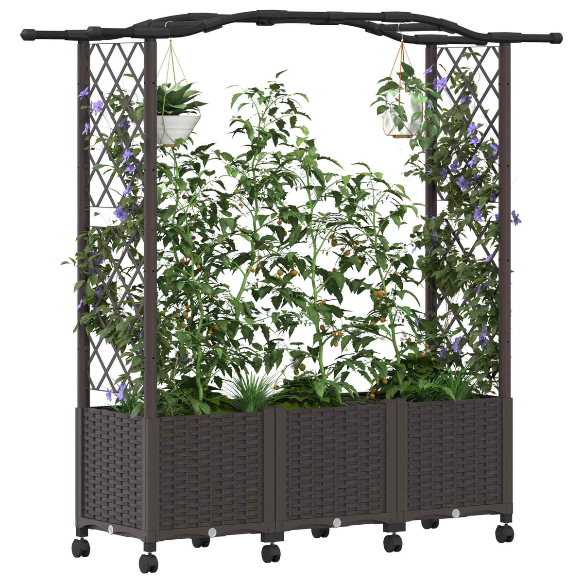 Cama Elevada Con Trellis Y Techo Marrón 164 X 40 X 144 Cm Pp_2