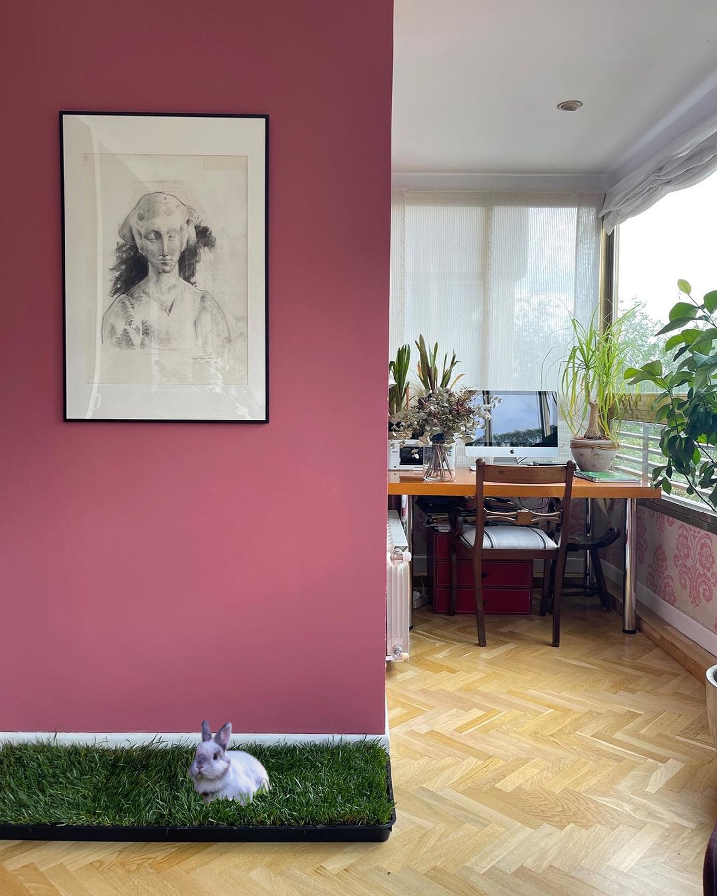 Petground, Parque Para Conejos, Casa De Césped Natural Xxl: 80 X 80 Cm_4