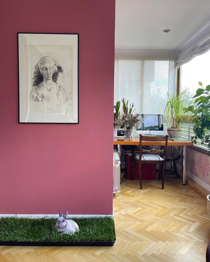 Petground, Parque Para Conejos, Casa De Césped Natural Xxl: 80 X 80 Cm_4
