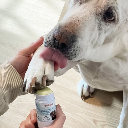 Totem Naturals Hidratante em stick para nariz e almofadas para animais de estimação 30g