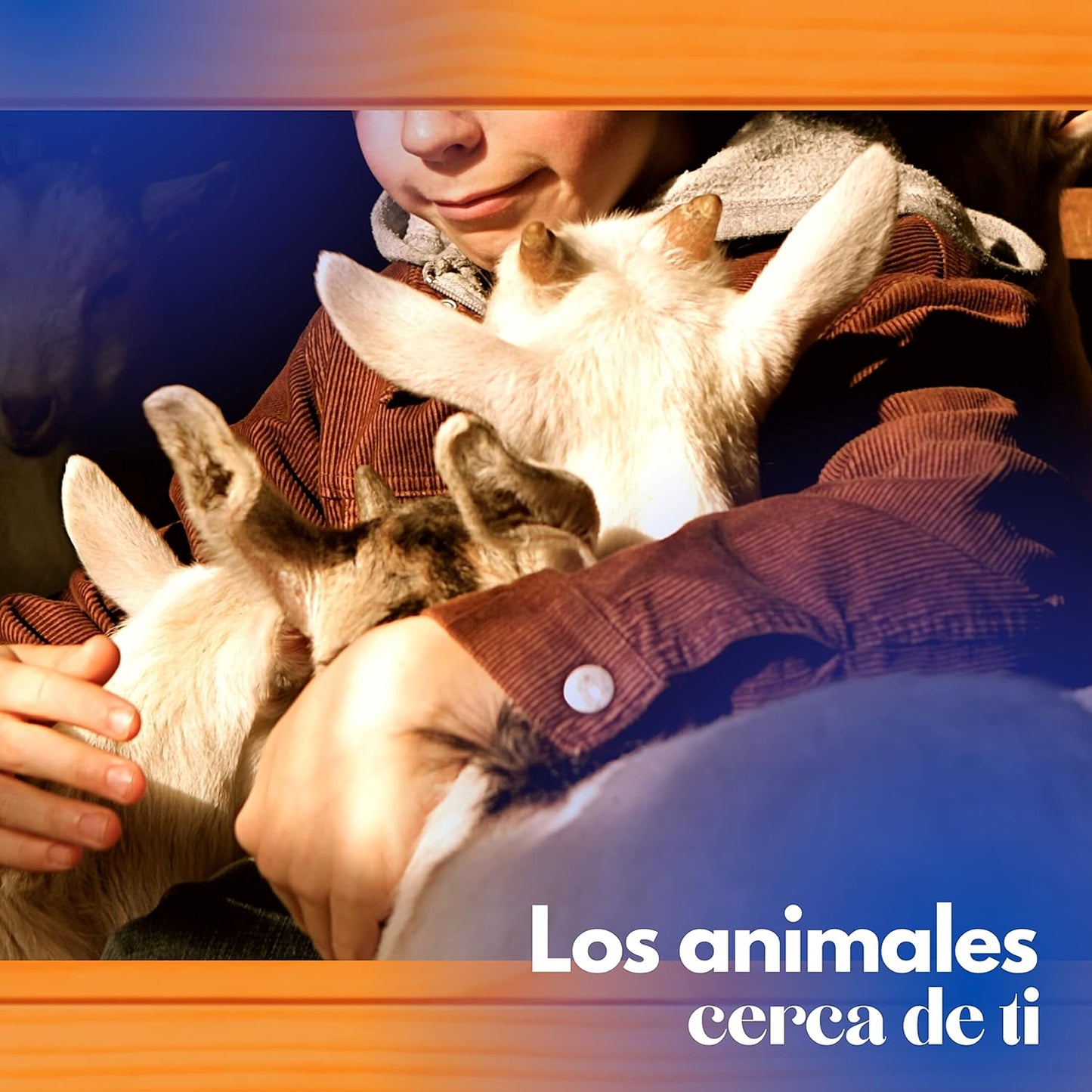 Gallinero Para Pavos Y Otras Grandes Aves - Caseta Para Animales - Refugio Para Cabras Y Ovejas_3