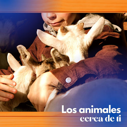 Gallinero Para Pavos Y Otras Grandes Aves - Caseta Para Animales - Refugio Para Cabras Y Ovejas_3