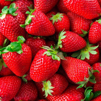 Pack 3x Fragancias Lámpara Catalítica 200ml: 2 Aroma Wild Strawberry + Limpiador Neutro. Disfruta De Tu Aroma Favorito_2