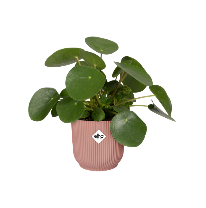 Vaso redondo dobrável Vibes delicado rosa Elho 18 cm 