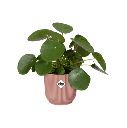 Vaso redondo dobrável Vibes delicado rosa Elho 25 cm 