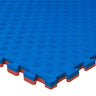 Tatami Puzzle 2cm 100x100cm – Superfície 5 Linhas Vermelho/azul