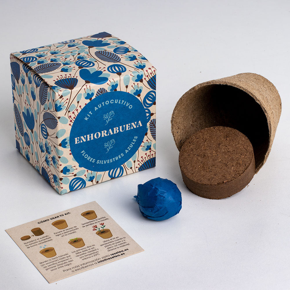 Díselo con Flores "Enhorabuena" Kit Cultivo Flores Silvestres Azules | Regalo Original - Resetea_1
