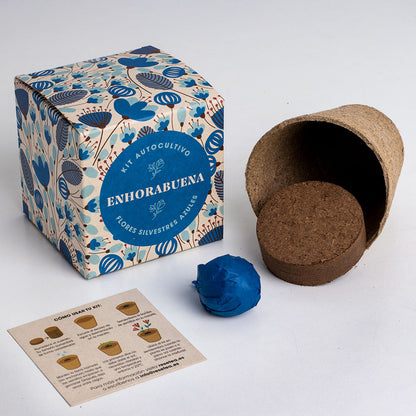 Díselo con Flores "Enhorabuena" Kit Cultivo Flores Silvestres Azules | Regalo Original - Resetea_1