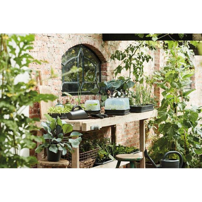 Cobertura de estufa para tabuleiro de cultivo Elho S Green Basics