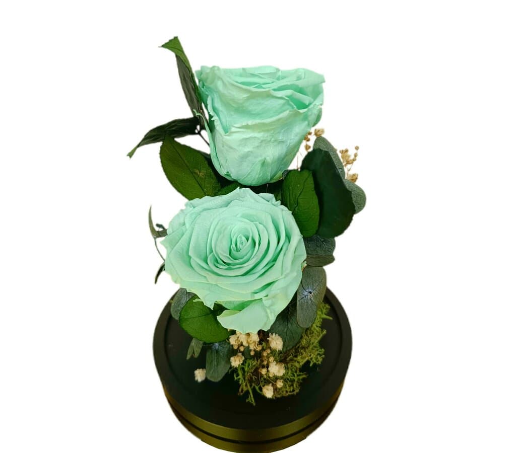 Cúpula 2 Rosas Verde Menta 12x20cm_1