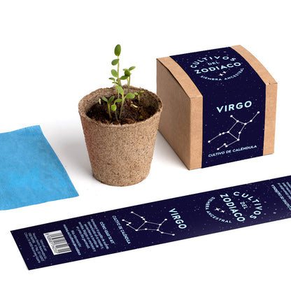 Cultivos del Zodiaco – Virgo, Kit de Cultivo con Semillas de Caléndula - Resetea_4