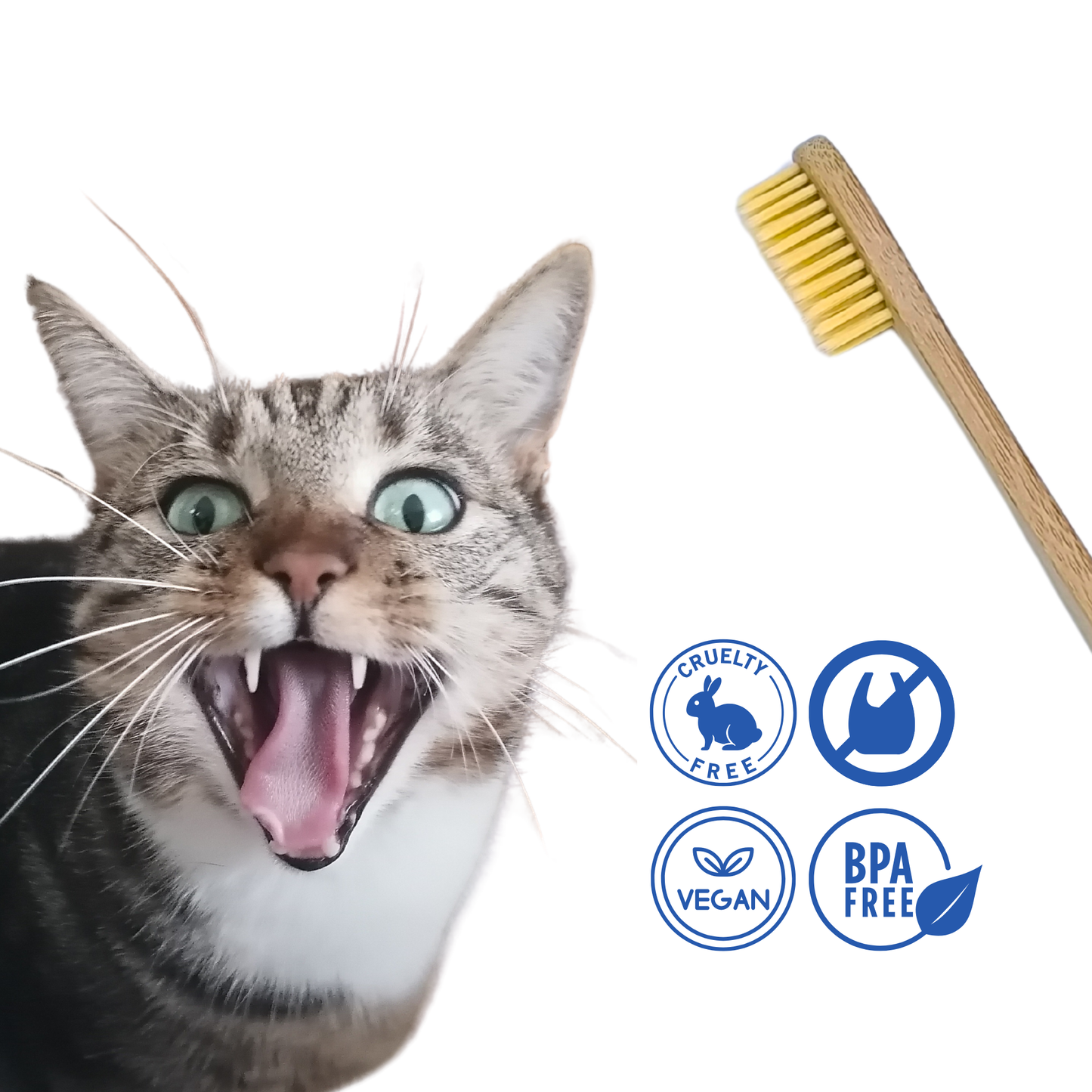 Cepillo de Dientes de Bambú para Perros y Gatos_3