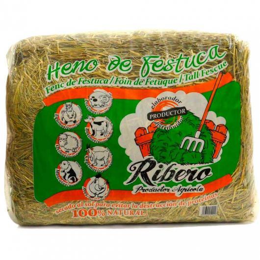 Feno de Festuca Ribero para Coelhos e Roedores 10 kg