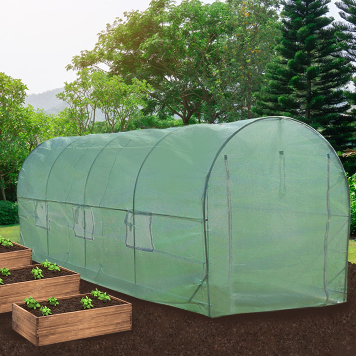 Invernadero Politúnel Con Estantería Galvanizada De Jardín Carpa De Cultivo 25mm 6m X 3m_2