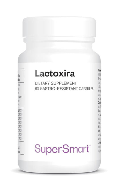 Lactoxira_0