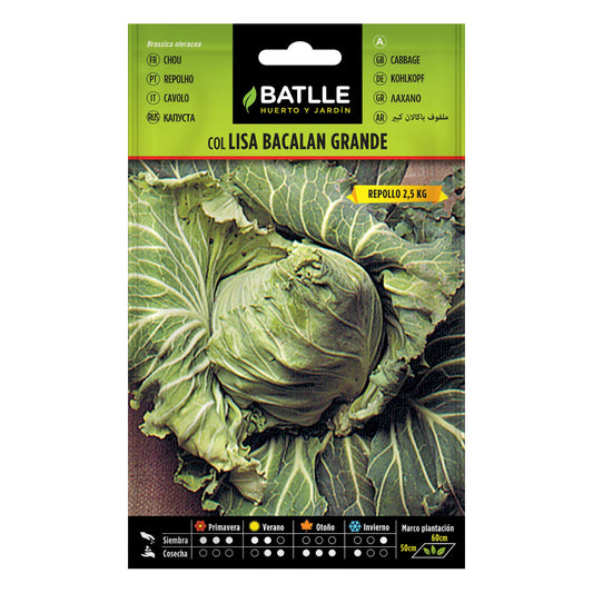 Sementes de couve Bacalan grande Batlle
